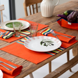 SET DE TABLE EN TOILE...