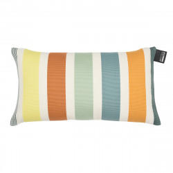 Coussin petit modèle...