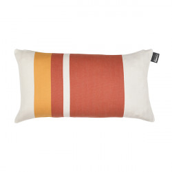 Coussin petit modèle...