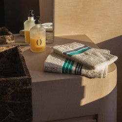 Serviette 100x50cm - RAYE -...