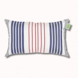 Mini coussin 40x24cm...