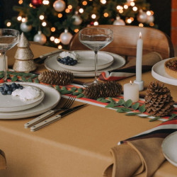 Pack Nappe 170x170 cm + 4...