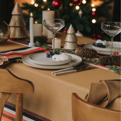 Pack Nappe 200x170cm + 6...