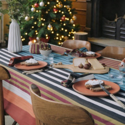 Pack Nappe 300x160 cm + 10...