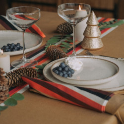 Pack Nappe 300x160 cm + 10...