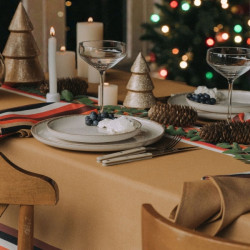 Pack Nappe 250x170 cm + 8...