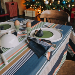Pack Nappe 300x160 cm + 10...