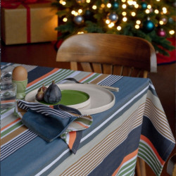 Pack Nappe 350x160 cm + 12...