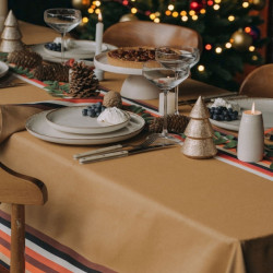 Pack Nappe 350x160 cm + 12...