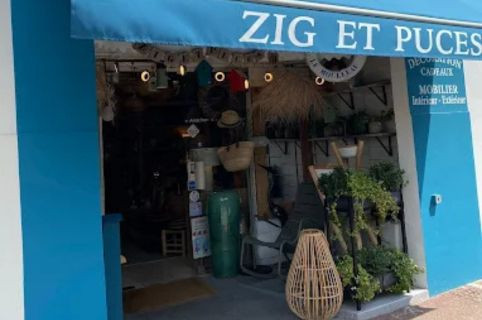 Zig et Puces Zig et Puces