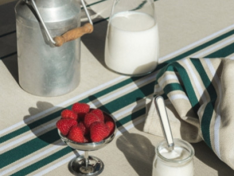 Corda Vert Bouteille : une toile de caractère à l’élégance naturelle